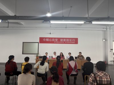 怀宁县妇联开展“巾帼心向