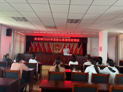 【乡镇动态】黄龙镇妇联：