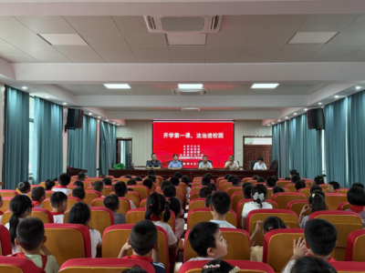 【乡镇动态】金拱镇妇联：